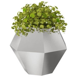 Jardinière 2 pcs Argent 100 x 100 x 80 cm Acier inoxydable 538898538898