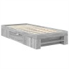Cadre de lit Gris Sonoma 100 x 200 m Bois d'ingénierie 541368541368