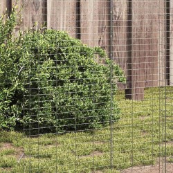 Cage à poules 2 pcs Argenté 600 x 100 x 210 cm Acier galvanisé 542563542563