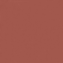 Écran de balcon Terre cuite 100 x 200 cm Tissu Oxford 542790542790