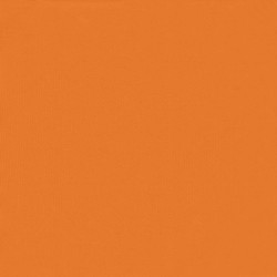 Écran de balcon Orange 110 x 1000 cm Tissu Oxford 542834542834