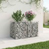 Lit surélevé gabion Argenté 100 x 50 x 60 cm Acier galvanisé 543042543042