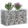 Lit surélevé gabion Argenté 50 x 100 x 60 cm Acier galvanisé 543045543045