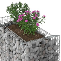 Lit surélevé gabion Argenté 50 x 100 x 60 cm Acier galvanisé 543045543045