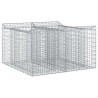 Lit surélevé gabion Argenté 100 x 100 x 60 cm Acier galvanisé 543046543046