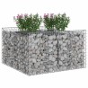 Lit surélevé gabion Argenté 100 x 100 x 60 cm Acier galvanisé 543046543046