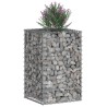 Lit surélevé gabion Argenté 50 x 50 x 80 cm Acier galvanisé 543068543068