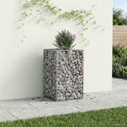Lit surélevé gabion Argenté 50 x 50 x 80 cm Acier galvanisé 543068543068