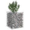 Lit surélevé gabion Argenté 50 x 50 x 60 cm Acier galvanisé 543073543073
