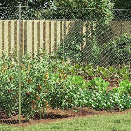 Clôture en treillis métallique Galvanisé 2 x 20 m Verre 543074543074