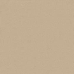 Écran de balcon Beige 100 x 500 cm Tissu Oxford 543096543096