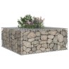 Lit surélevé gabion Argenté 100 x 100 x 40 cm Acier galvanisé 543658543658