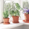 Pots de plantes 24 pcs Rouge brique Ø 15 x 12 cm Plastique 543715543715