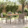 Chaises empilables de jardin 4 pcs Gris et marron 543720543720