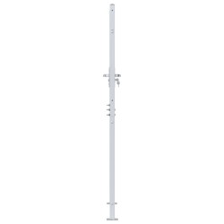 Porte de Jardin Argenté 85 x 174 cm Acier inoxydable 543722543722