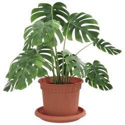 Pots de plantes 24 pcs Rouge brique Ø 12,5 x 10 cm Plastique 543771543771