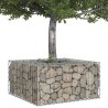 Lit surélevé gabion Argenté 80 x 80 x 40 cm Acier galvanisé 543773543773