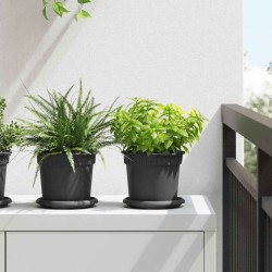 Pots de plantes 24 pcs Noir Ø 15 x 12 cm Plastique 543847543847