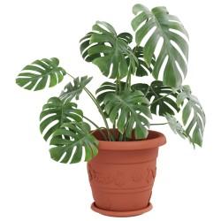 Pots de plantes 6 pcs Rouge brique Ø 34 x 28 cm Plastique 543858543858