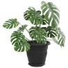 Pots de plantes 6 pcs Noir Ø 22 x 18 cm Plastique 543875543875