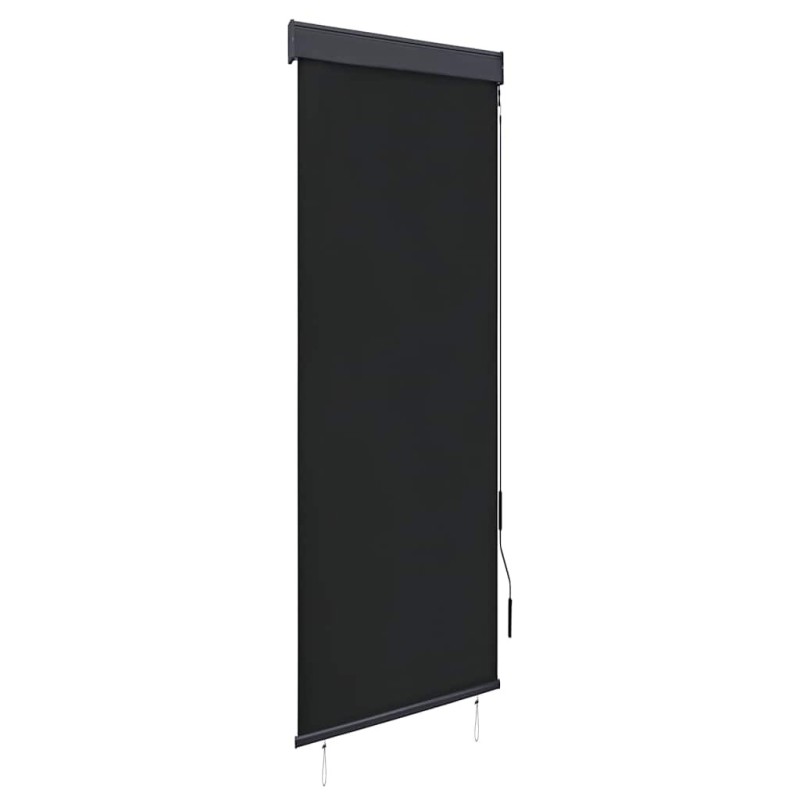 Store roulant d'extérieur 60 x 250 cm Anthracite 544238544238