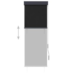 Store roulant d'extérieur 60 x 250 cm Anthracite 544238544238