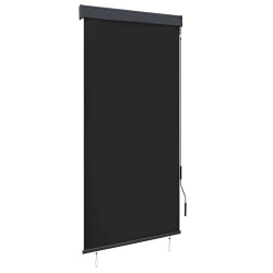 Store roulant d'extérieur 100 x 250 cm Anthracite 544255544255