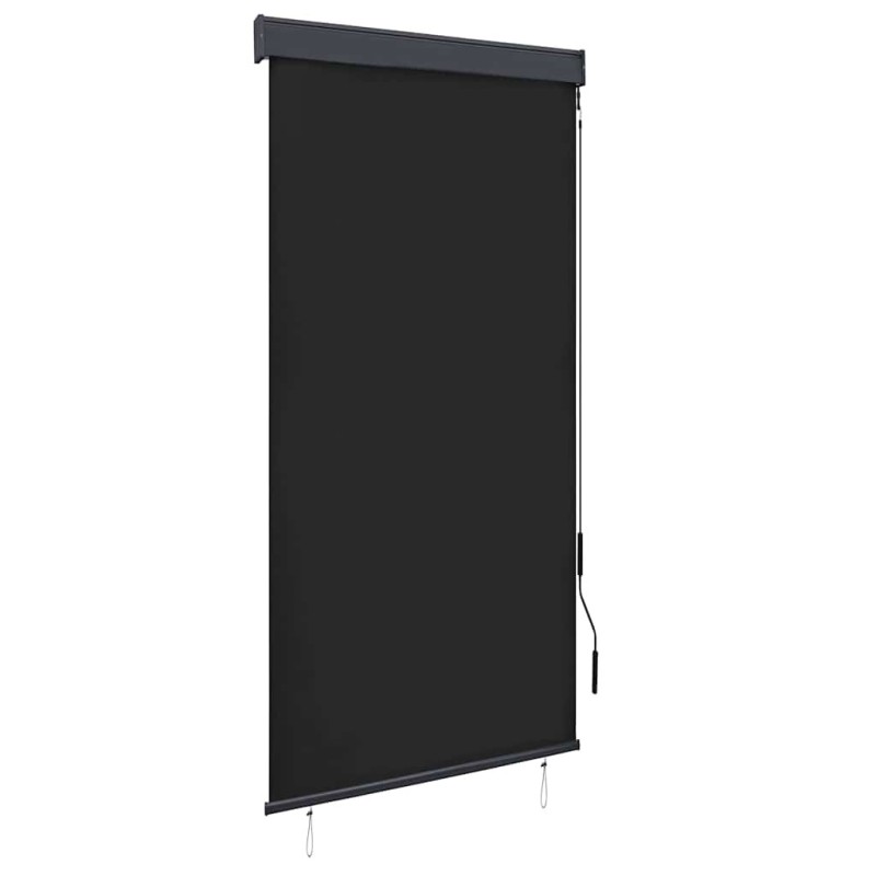 Store roulant d'extérieur 100 x 250 cm Anthracite 544255544255