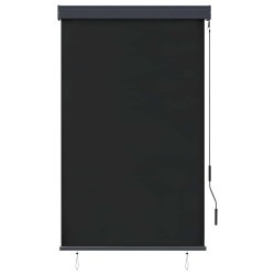 Store roulant d'extérieur 100 x 250 cm Anthracite 544255544255