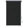 Store roulant d'extérieur 100 x 250 cm Anthracite 544255544255