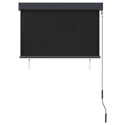 Store roulant d'extérieur 100 x 250 cm Anthracite 544255544255