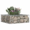 Lit surélevé gabion Argenté 60 x 60 x 20 cm Acier galvanisé 544268544268