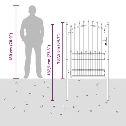 Portail de clôture avec pointes Noir 100 x 175 cm 544271544271
