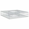 Lit surélevé gabion Argenté 100 x 100 x 20 cm Acier galvanisé 544273544273