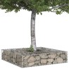 Lit surélevé gabion Argenté 100 x 100 x 20 cm Acier galvanisé 544273544273