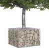 Lit surélevé gabion Argenté 60 x 60 x 40 cm Acier galvanisé 544274544274