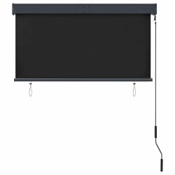 Store roulant d'extérieur 120 x 250 cm Anthracite 544276544276