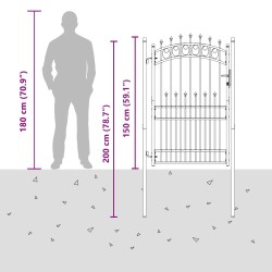 Portail de clôture avec pointes Noir 100 x 200 cm 544493544493