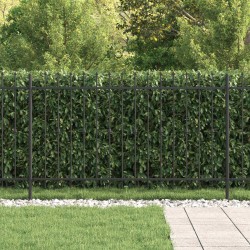 Clôture à Pointe Asten Noir 544504544504