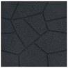 Pierre de marchage 6 pcs Noir 40,5 x 40,5 x 2 cm Caoutchouc 544521544521