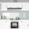 Crédence de cuisine 2 pcs Blanc 100 x 50 cm verre trempé 544987544987