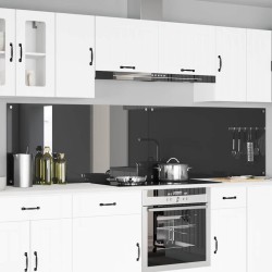 Crédence de cuisine 2 pcs Gris foncé 120 x 60 cm verre trempé 545019545019