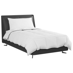 Duvet d'hiver avec oreiller 2 pcs Blanc Plume de canard 545769545769