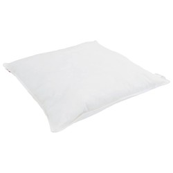 Duvet d'hiver avec oreiller 2 pcs Blanc Plume de canard 545770545770