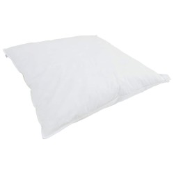 Duvet d'hiver avec oreiller 2 pcs Blanc Plume de canard 545776545776