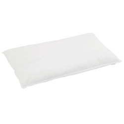 Duvet d'été simple avec oreiller 2 pcs Blanc Plume de canard 545777545777