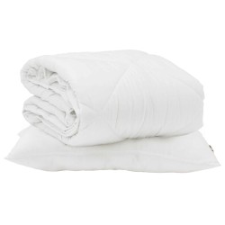 Duvet d'été simple avec oreiller 2 pcs Blanc Microfibre 545839545839