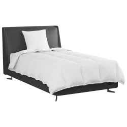 Duvet 2-en-1 avec oreiller 2 pcs Blanc Plume de canard 545840545840