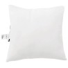 Duvet d'été simple avec oreiller 2 pcs Blanc Microfibre 545841545841