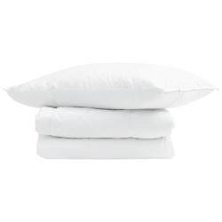 Duvet d'été simple avec oreiller 2 pcs Blanc Plume de canard 545866545866